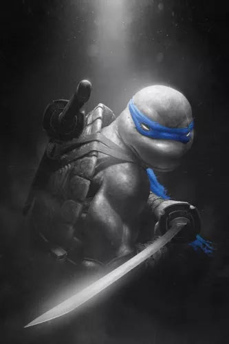 Teenage Mutant Ninja Turtles Rahzzah Leonardo Color Splash, NM